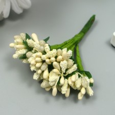 Flowers for decorating 