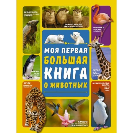 My first big book about animals