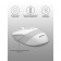 Mouse A4Tech FSTYLER FM10 White/Gray optical (1600DPI) USB (4BUT)