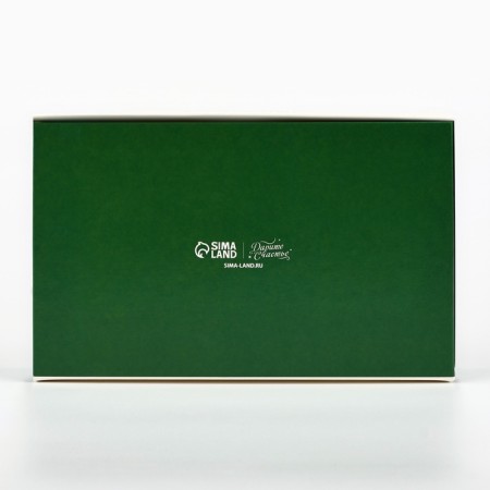 Folding box "New Year's botanist", 20 x 12 x 4 cm, New Year-4