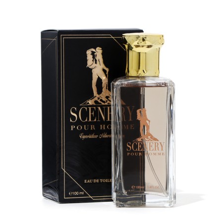 Male toilet water SCENERY, 100 ml