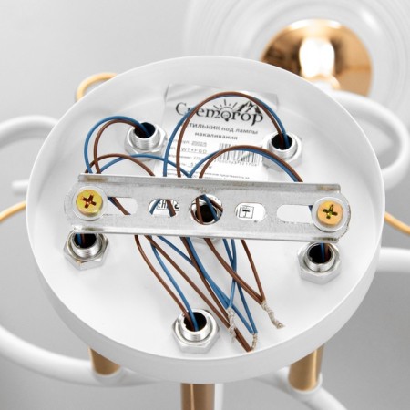 Cellular Jacqueline 5he27 40W is white, gold-8