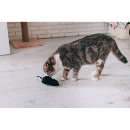 Cavaling fur mouse, 12 cm, black-5