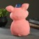 Piggy bank "Picky in a hat" 17x14x23cm