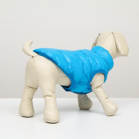 Dog jacket two -sided with print, size 10 (DS 25 cm, OG 34 cm, Osh 24 cm), Blue-2