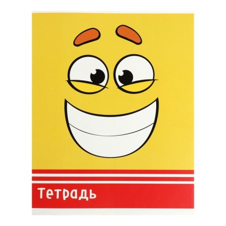 Notebook of 48 sheets in Calligrata Smiley, cover coated cardboard, offset block, mix-2