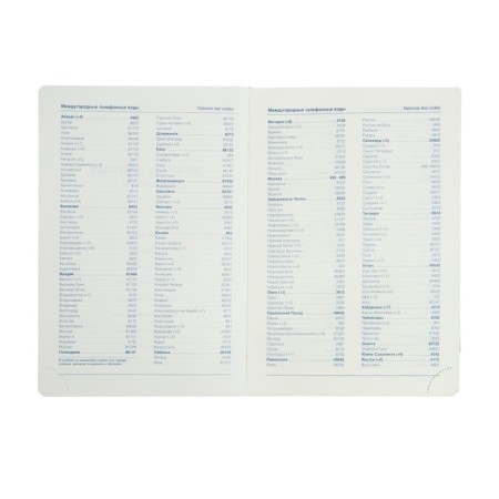 Delivery of Leduced A5, 136 sheets in a ruler, leatherette "Nebraska", silver cut, black-4