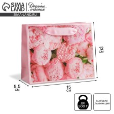 Gift Laminated Horizontal Package, Packaging, For You, S 15 x 12 x 5.5 cm