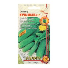 Seeds of the cucumber 