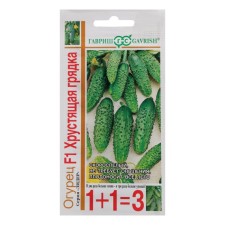 Cucumber seeds 