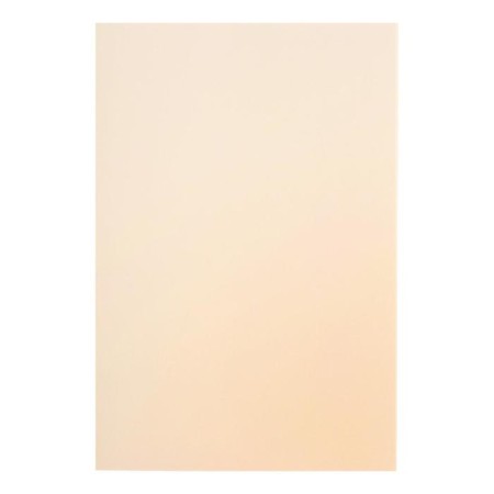 A4, 210 x 297 mm pastel folder, 20 sheets, tinted paper, ivory, Goznak "Shell", 200g/m-3