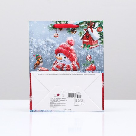 Gift package "Funny snowman", 18 x 22.3 x 10 cm-1