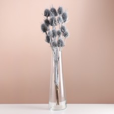 Set of dried flowers 