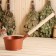 Bath bucket, 1.5 l, bronze