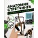 Anatomy of stretching with augmented reality. Stepuk N.G.