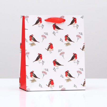 Gift package "Feathered", 18 x 22.3 x 10 cm