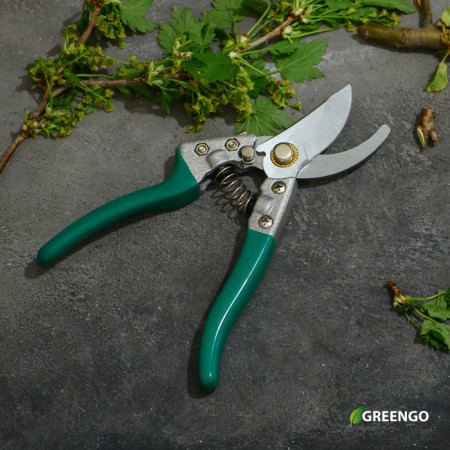 Planning coater, 8 "(20 cm), rubberized handles, Greengo-8