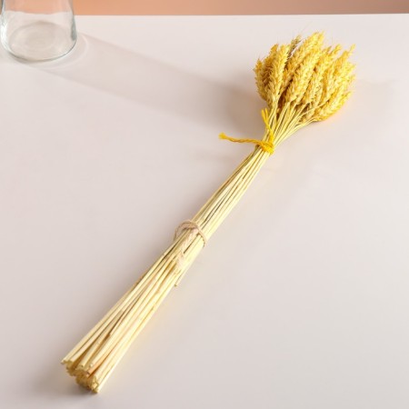 Set of dried flowers "wheat", banch 35-40 pcs, length 60-65 (+/- 6 cm), yellow-3