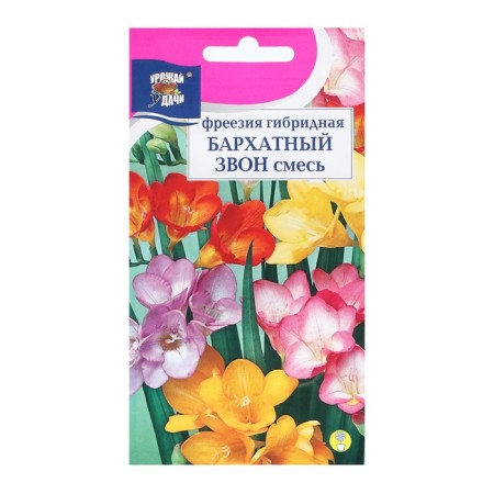 Freems Freems Freesia hybrid "velvet ringing", mixture, 0.04 g