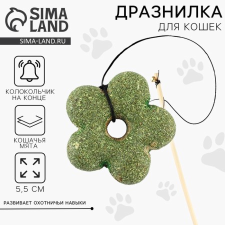 Cat with a cat with a cat's mint "Flower"
