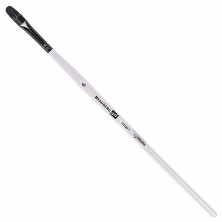 System of Synthetics 10 pieces, Brauberg Art Debut, in the PVC Penal-3