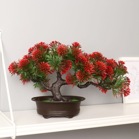 Bonsai "Star" 16x22 cm, mix-2