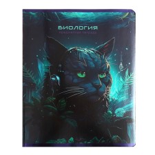 Notebook object 
