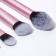 Charming makeup kit: brushes 5 pcs and sponge