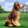 Garden figure "dog spaniel" red "red, 35x25cm