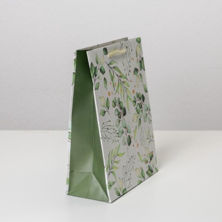 Gift laminated package, packaging, Pressent for You, MS 18 x 23 x 8 cm-2