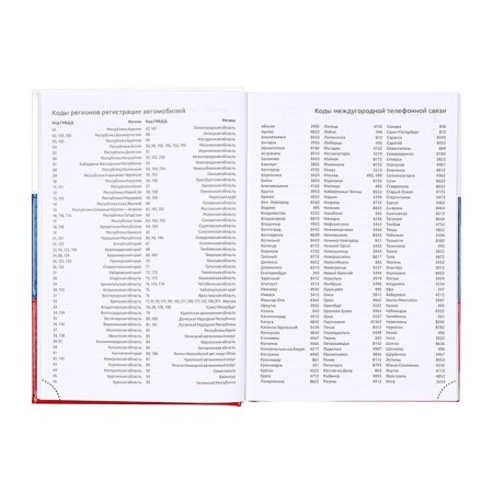 Dated diary 2025, Devente. Flag, a5 168 sheets, a solid cover of leatherette with foam, foil embossing, perforation, liesse, block 70 g/m2-8