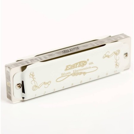 Diathonic harmonica Easttop t008l g