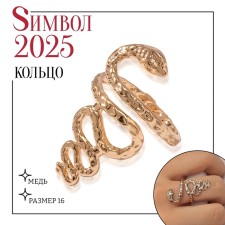 New Year! Symbol of the year 2025! Ring Metal 