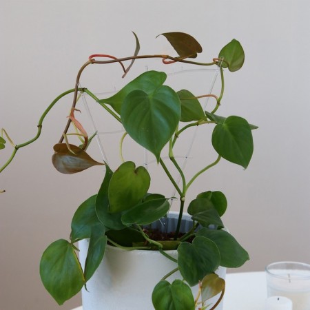 Shpalera, 30 × 19 × 0.5 cm, plastic, color mix, "Harmony", Greengo-2