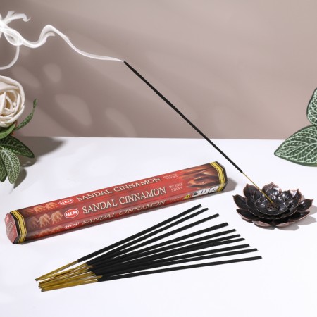 Incense hem "Sandal Cinnamon. Sandal Cinnamon", 20 wands in packaging, hexagon