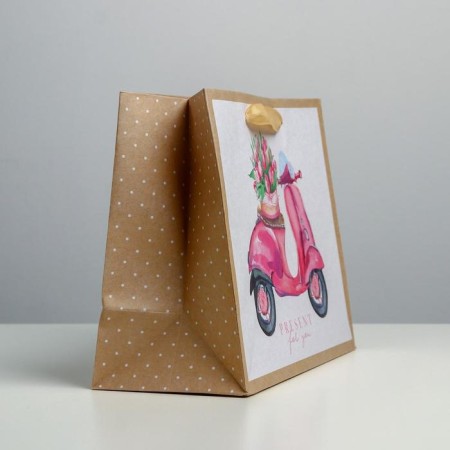 Gift Craft horizontal package, packaging, Present for You, MS 23 x 18 x 10 cm-1