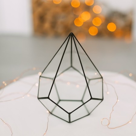 Florarium "Pyramid" Malaya (Switch Silver)-1