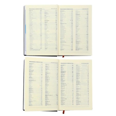 Diary Initiated "Crocodile" A5, 192 sheets in a ruler, PVC cover, mix-4