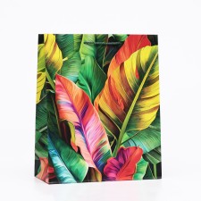 Gift package 