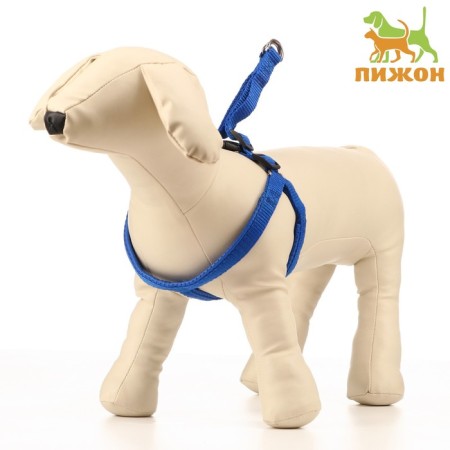 COMPORT COLLECT COMBODY COMBITED, 1.5 cm, Osh 36-50 cm, og 40-55 cm, blue
