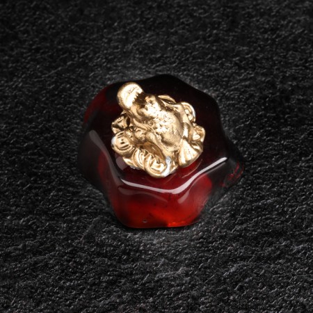 Souvenir "Frog with a coin", brass, amber-3