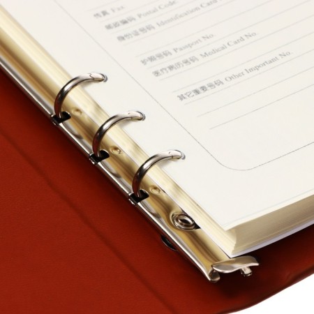 Organs on the rings, A5 format, 90 sheets, line, cover of the leather mix, with an elastic band for a handle-4