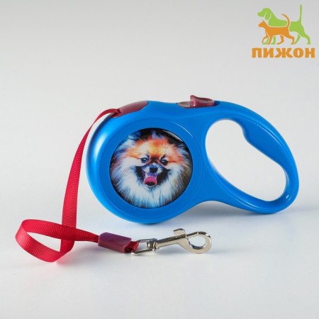 Roulette with a print "cutie", 3 m, animal weight up to 12 kg, blue