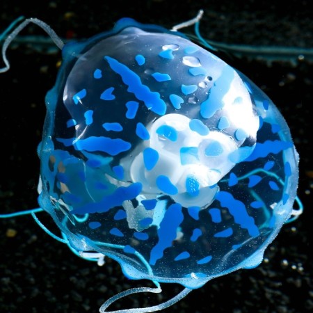 Decor for the Aquarium "Medusa" silicone, with a neon effect, 10 x 10 x 20.5 cm, blue-5