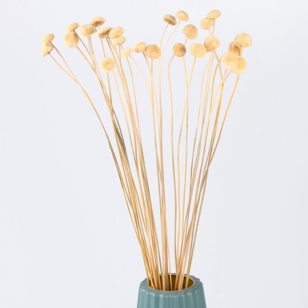 Sukhotzet "Batao" set 20 pcs., Mix color-5