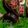 Souvenir set tree "Owls" 15x4x20 cm
