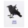 Diary Solid Cover 1-11 grade 48 sheets, Raven, Cardboard 7BC cover, matte lamination, selective UV-LK, cheat sheet
