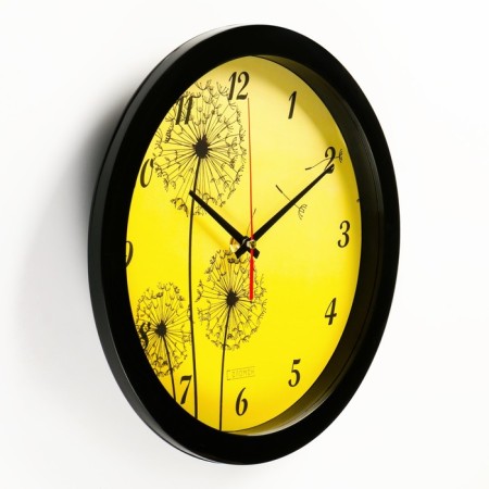 Wall watches, D-28 cm, interior, "dandelions", silent-1