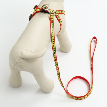 The “Bones and Paws” set of a reflective, leash 120 x 1.5 cm, OG 36-52 cm, red-9