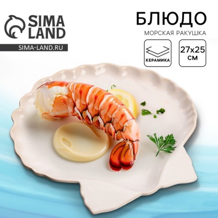 Ceramic "Sea shell" dish, 27 x 25 cm, white color